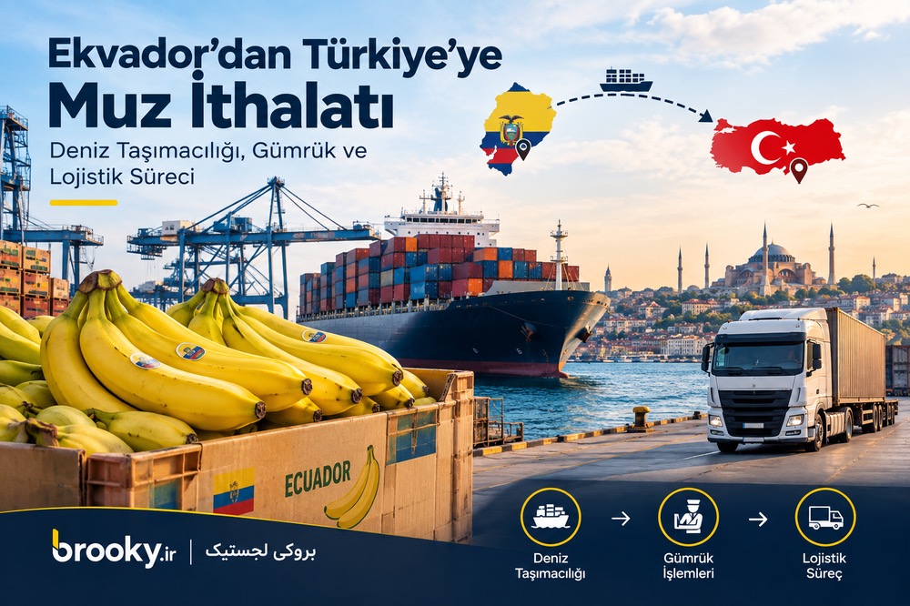 Ekvador’dan İran’a Muz İthalatı Nasıl Yapılır? | Mersin Limanı, Transit Taşıma ve Gümrük
