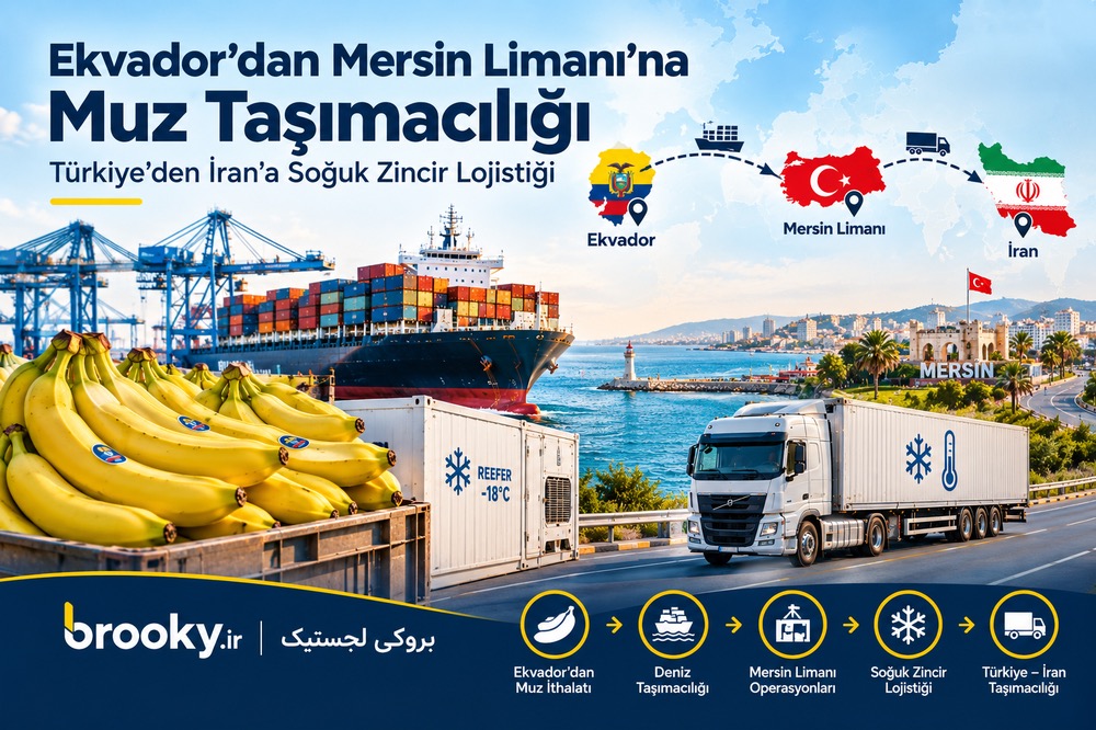 Ekvador’dan İran’a Muz Taşımacılığı | Türkiye Üzerinden Transit ve Lojistik Çözümleri