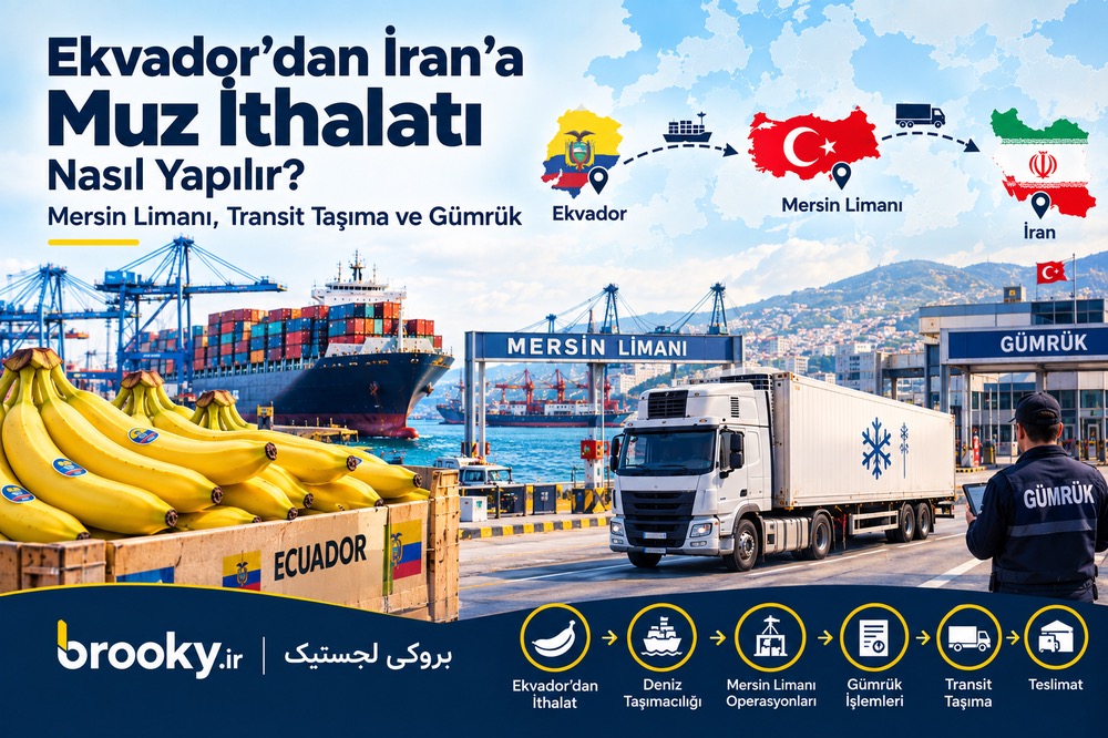 Ekvador’dan Türkiye’ye Muz İthalatı | Deniz Taşımacılığı, Gümrük ve Lojistik Süreci