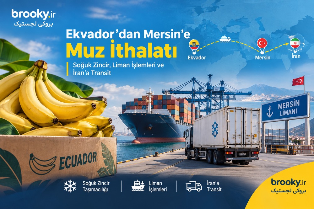 Ekvador’dan Mersin’e Muz İthalatı | Soğuk Zincir, Liman İşlemleri ve İran’a Transit