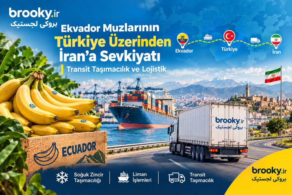 Ekvador Muzlarının Türkiye Üzerinden İran’a Sevkiyatı | Transit Taşımacılık ve Lojistik